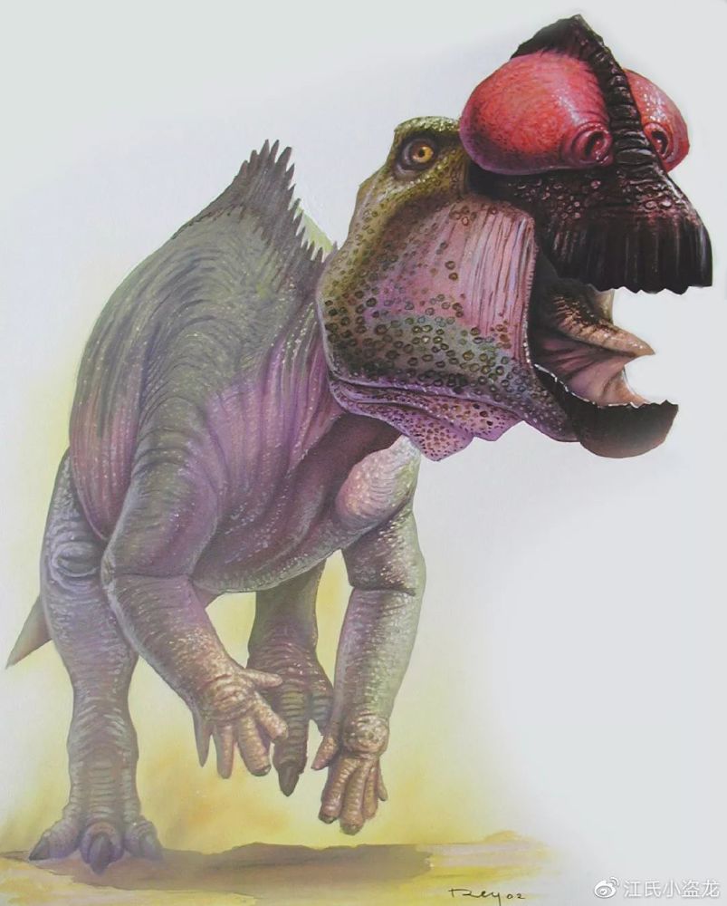 澳大利亚发现的禽龙化石骨头变成了欧泊宝石