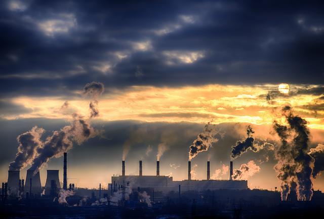 全球变暖|全球变暖让河狸过得更好？科学家：它们筑坝破坏了环境