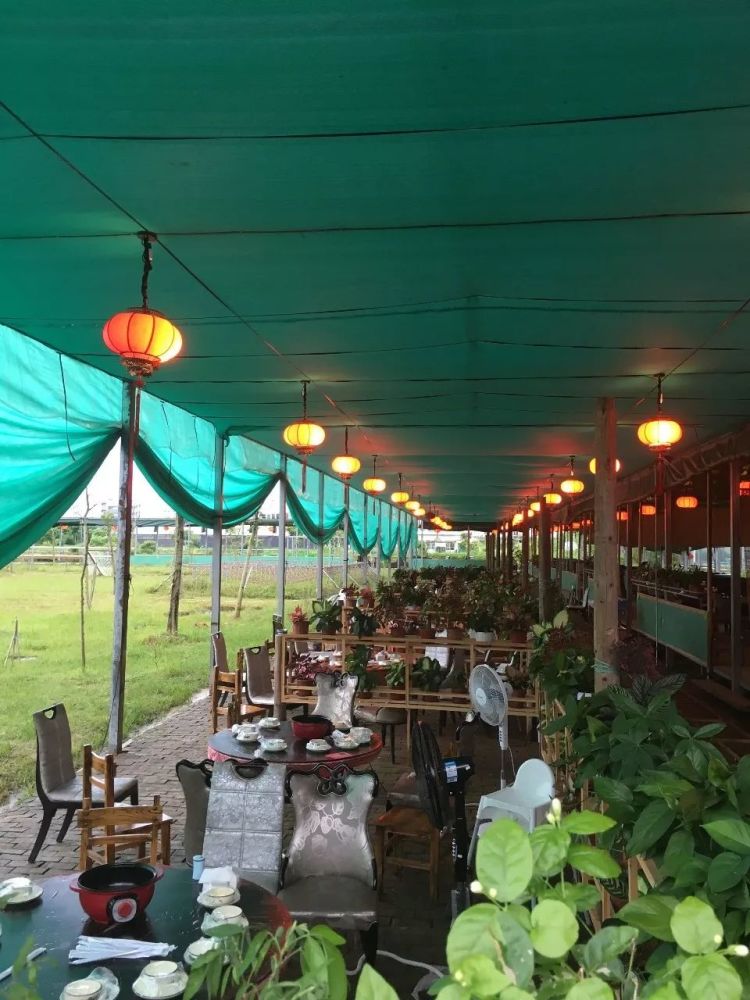 在清幽的亭子里伴着微风 舒适的不舍得告别 庄园内的点点灯光,到处都