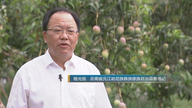 云南省元江哈尼族彝族傣族自治县委书记杨光旭告诉记者,近年来,元江