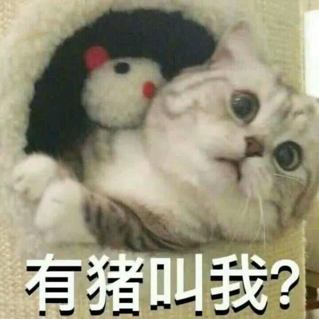 641