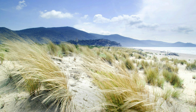 光耀造句和解释_光耀的例句有哪些-小孩子点读