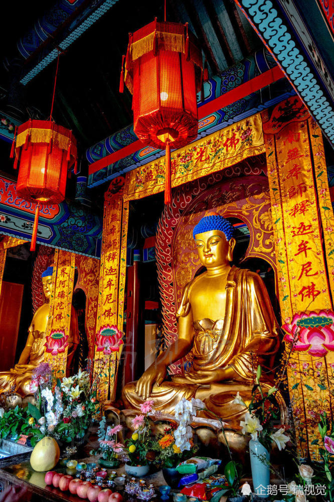 中国学历最高寺庙和尚多来自211985院校人称小清华