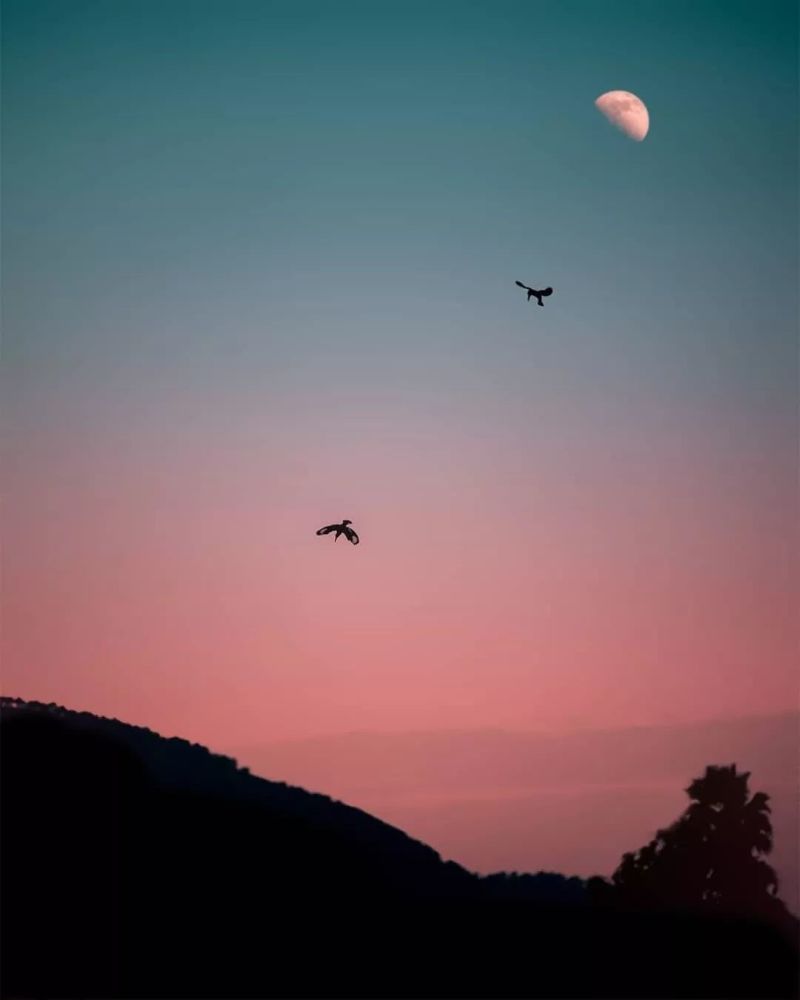 2020春夏重点流行色趋势:紫霞色