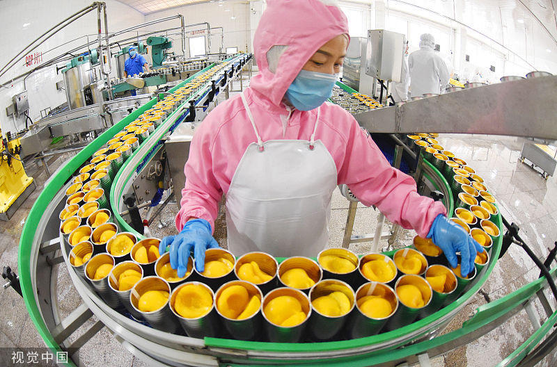 实拍罐头生产加工流水线,年创产值超亿元,专门出口日韩欧美