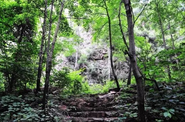 平谷区|平谷的大山里，有一条“滇缅公路”般的九曲十八弯，等着您去挑战