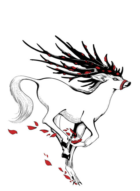 《山海经》中所记载的玃如,竟然就是生长在澳大利亚的它!