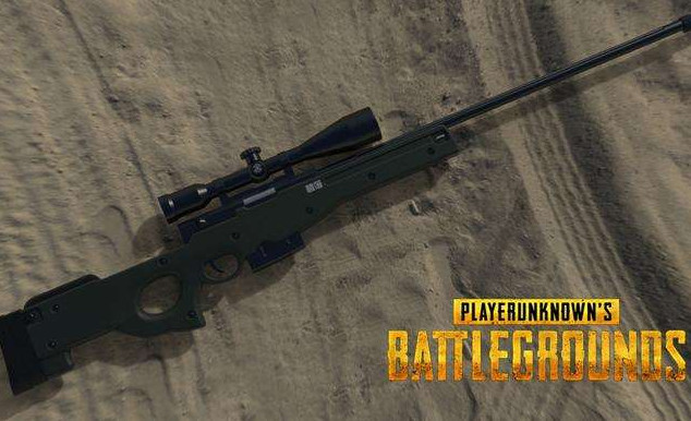 和平精英:awm失去形同摆设,而冷门的它却赢了