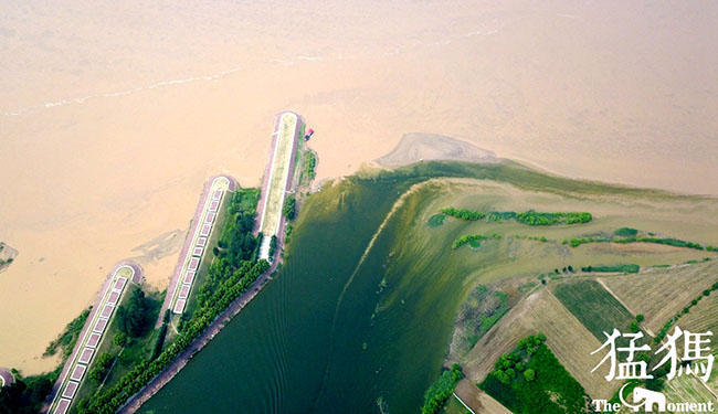 河南境内这段黄河泾渭分明 ,鸟瞰如天然太极图