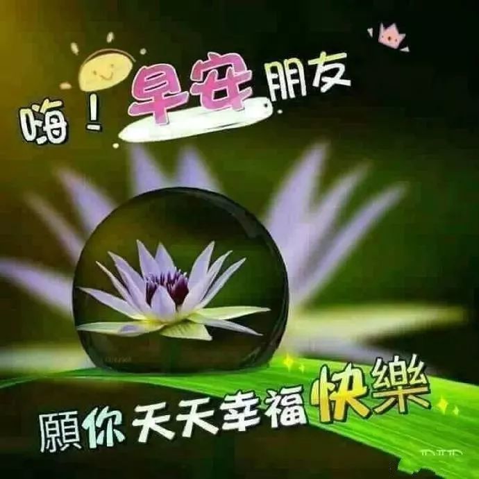 超溫馨的早晨問候動態圖片,早上好祝福語唯美表情圖片