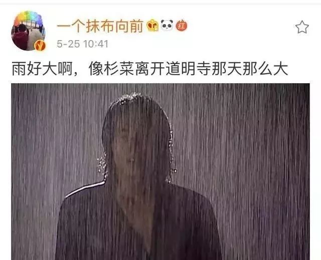 比杉菜离开道明寺那天还大比依萍问她爸要钱那天还大听说这天的雨比