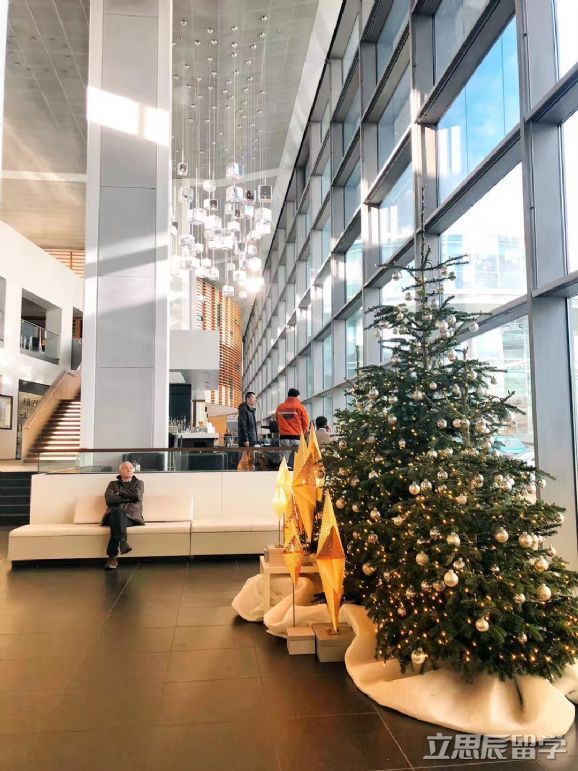 德国曼海姆大学全英文授课项目解读