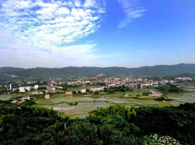 荆州市石首市桃花山镇李花山村感受咱湖北乡村的魅力吧~去到自然乡野