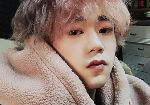 《lutra》动心歌曲刷遍抖音,但是你知道他的作者"太一"吗