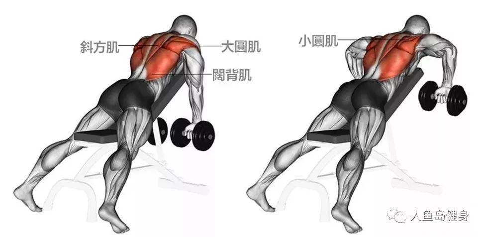 男性练虎背不可忽视的小肌肉大圆肌