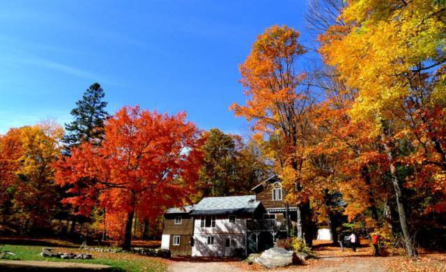 出发北美洲那绚烂得惊心动魄的枫叶大道!