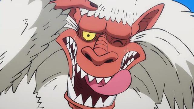 【龙卷风】经过托特兰篇章之后,路飞的实力大增,但是作为未来海贼王的