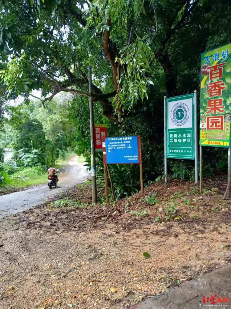 带走章子欣女租客第二任恋人：没骗她钱 当年投资我们都是受害者