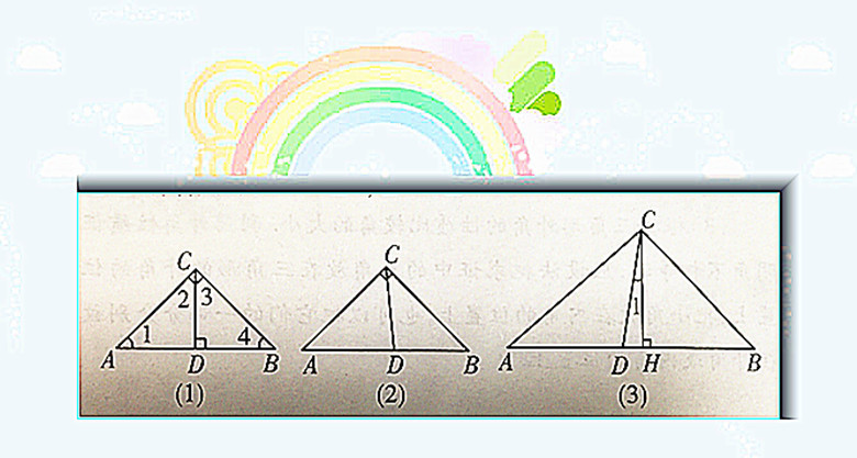 初中数学与三角形有关的角 掌握考点 明确考法 学会解题思路