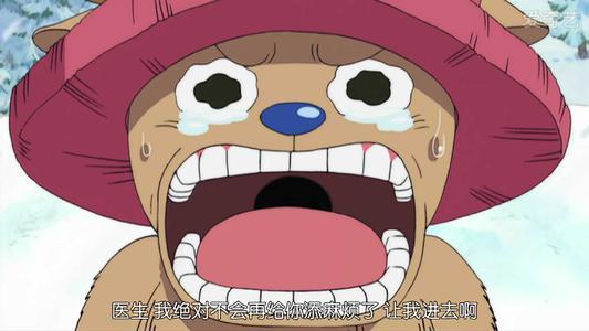 海贼王 我的医生爸爸 您一定是世界上最坚强的樱花树
