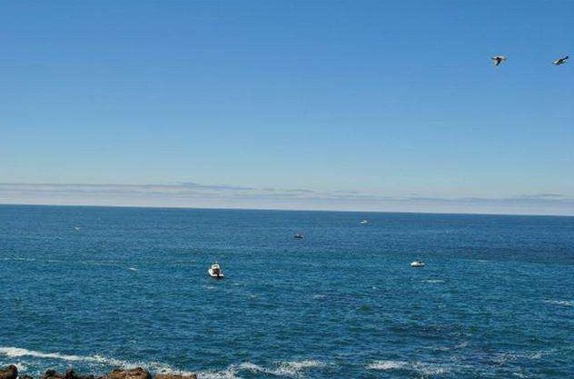 为什么大西洋和太平洋会有明显的颜色分界线?海水不会相融吗?