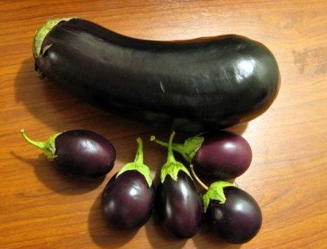 市场的 长茄 和 圆茄 哪种更好吃 看3点 避免挑错白花钱 腾讯网