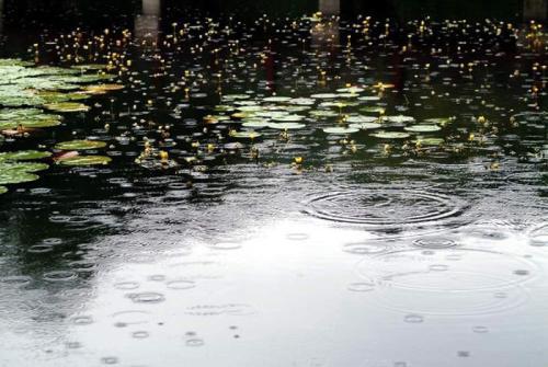 今天5月25日,星期一,农历润 四月初三.多云转小雨,东南风3-4级.