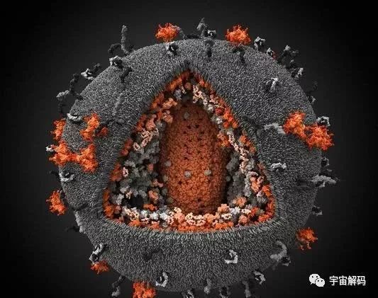 显微镜头下的3D艾滋病毒和细菌，一个恐怖的“世界”