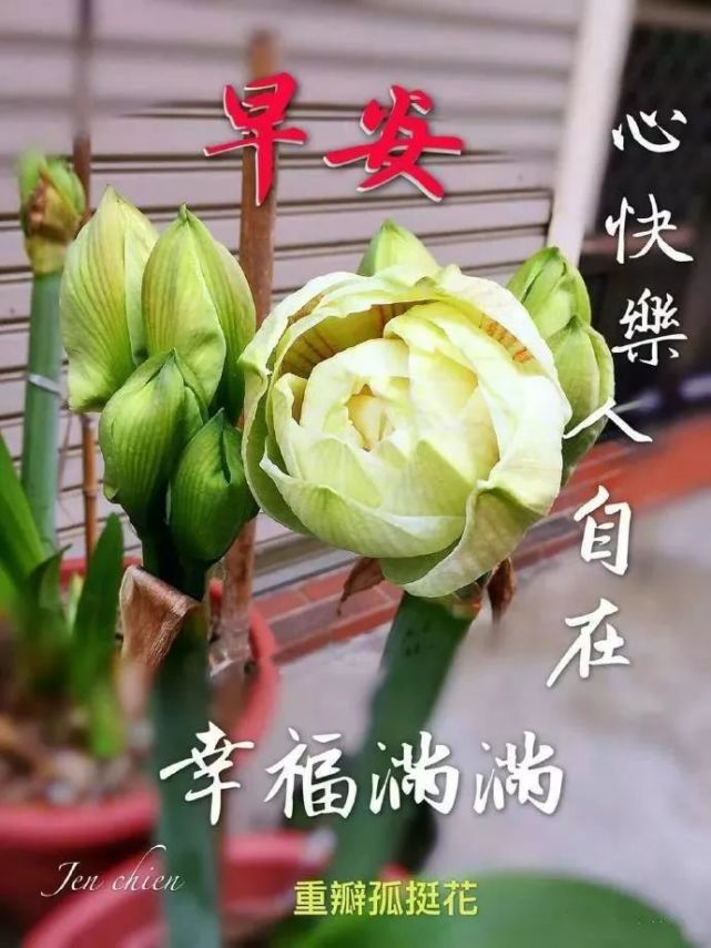 早上好表情包,季节变换,疫情添乱;非常时期,加强防范!