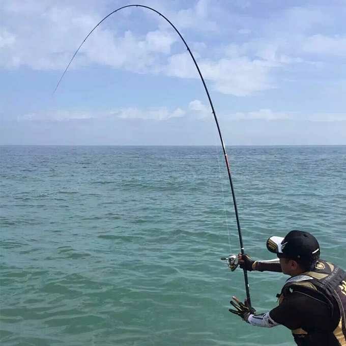 是休閒海釣中最為普及的一類海竿,它所採用的浮游磯釣釣法,是釣大型鯛