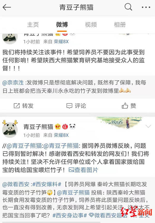 网传大熊猫长期吃变质食物 秦岭野生动物园：与事实严重不符