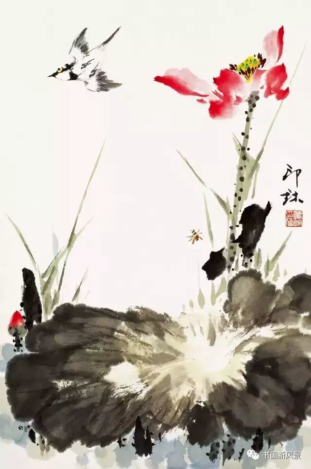 花鸟画|这位老先生的花鸟，色彩超美！
