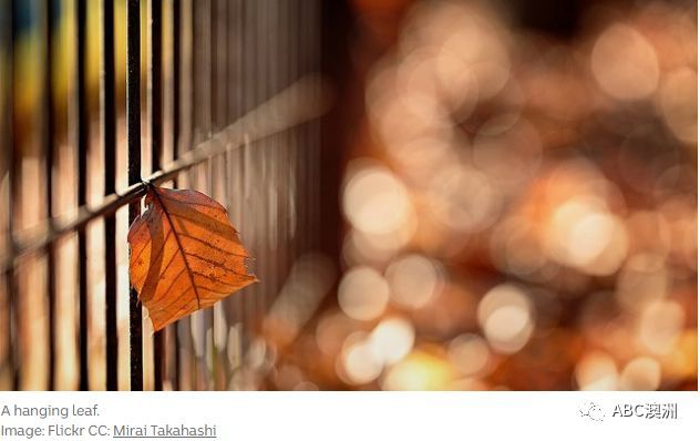 学英语 吊胃口 的 吊 英语竟然真的是hang