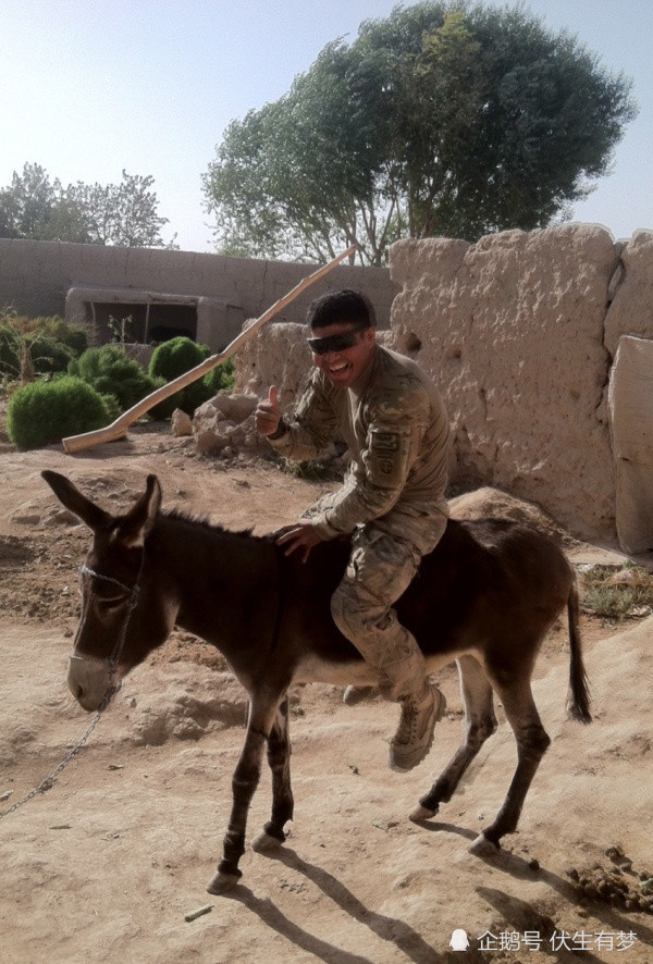 只因曾经骑过驴,以为骑马很容易,到了草原试一试,彻底服气