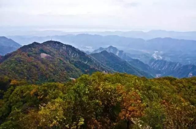 当时辖区内有个小港乡,坐落在蓟州东北部最偏远的八仙桌子原始次生林