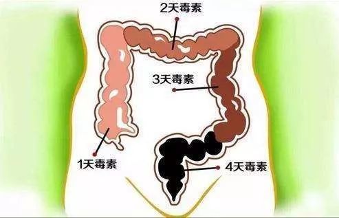 身体真的需要人工排毒吗