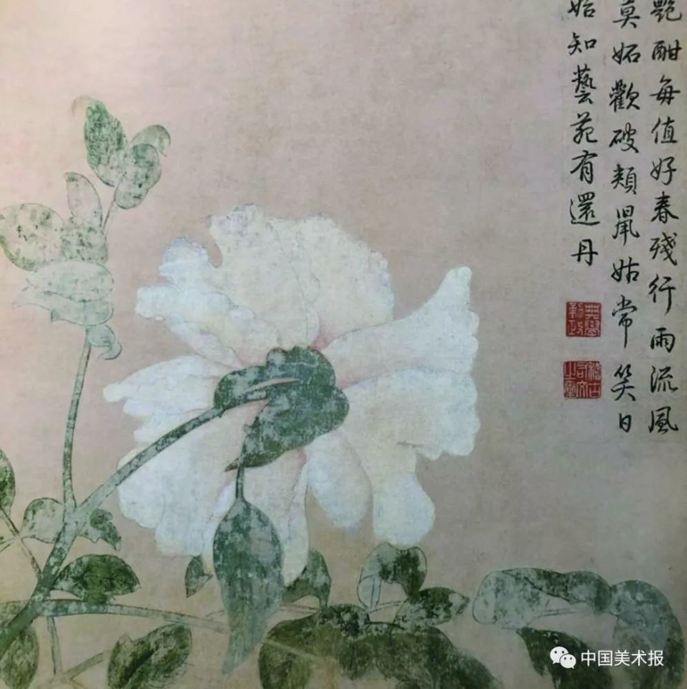 牡丹：云想衣裳花想容，春风拂槛露华浓