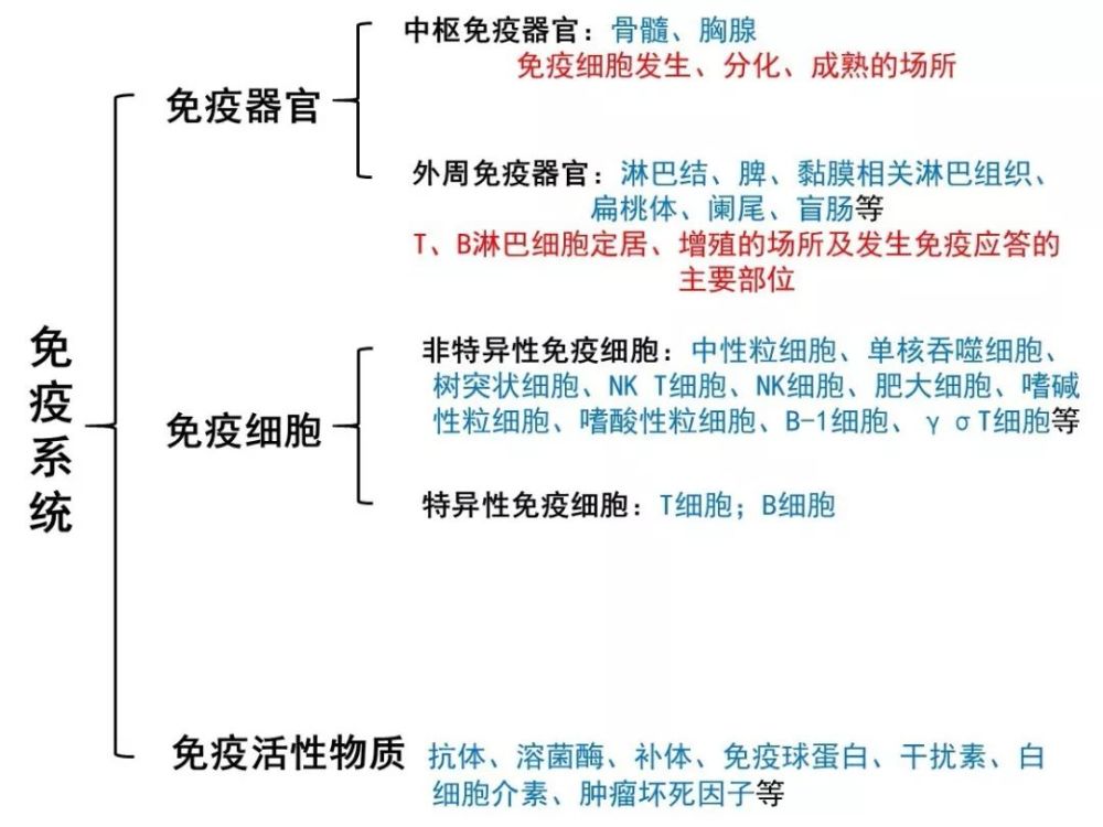 肠道 免疫 大脑 一文读懂自闭症发生发展的免疫学机制