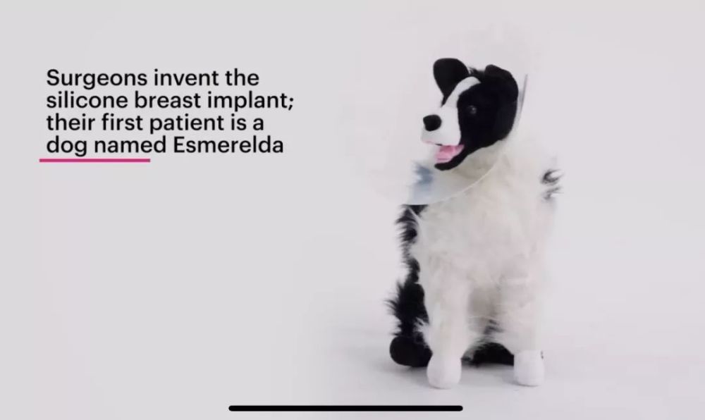 石蜡注脸 木头塞胸 整容试错的100年