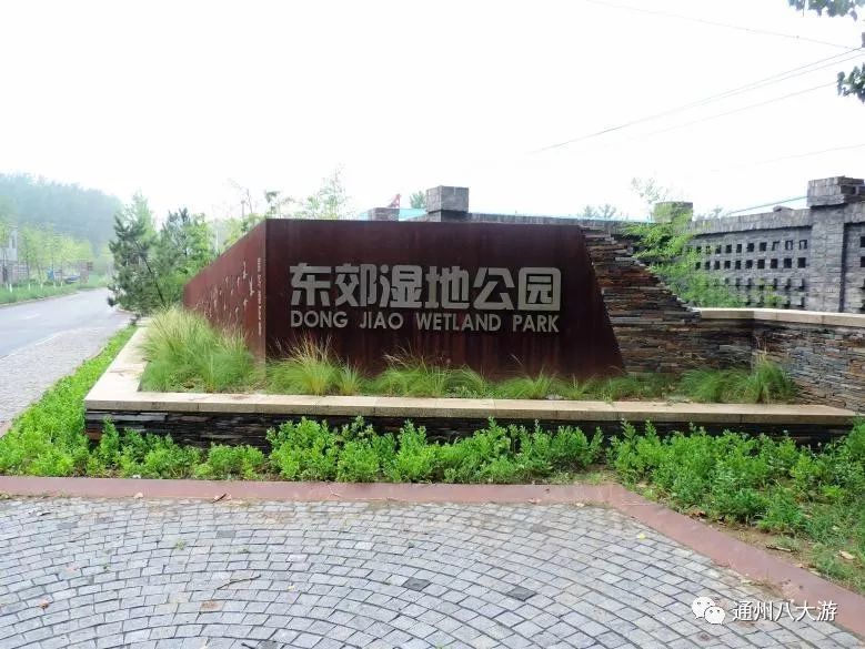 最推荐 京城绿肺u2014u2014东郊湿地公园，这个夏天u201c荷u201d你在一起！