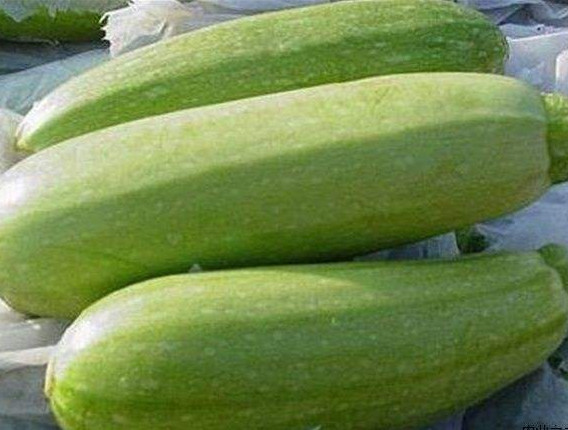 原来真的有北瓜这么多年终于知道北瓜是谁了其实你经常吃