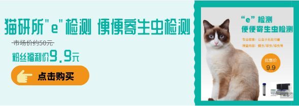 猫咪出现哪些症状 就要排查寄生虫了