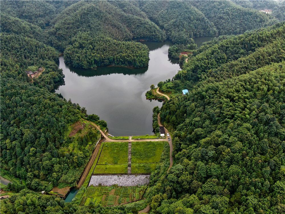 最新航拍:万载双桥一原生态小山村的山水美景,画面太美不敢看!