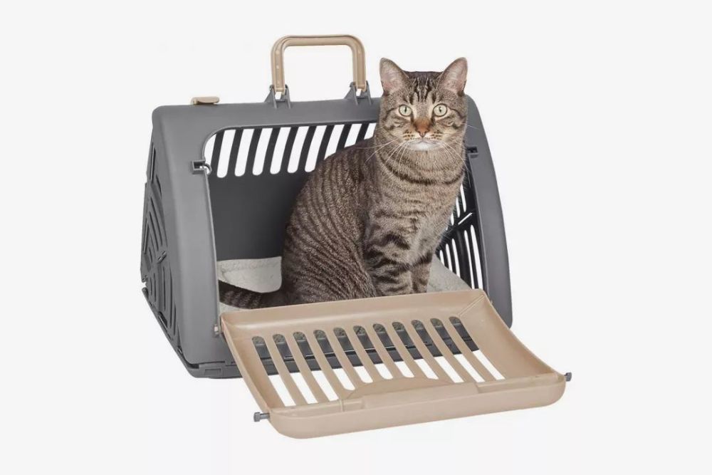 猫咪航空箱 不只是一个箱子那么简单