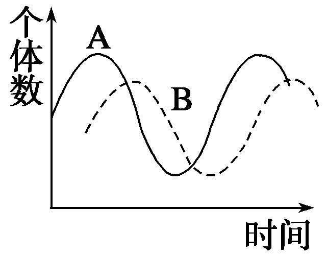 【提醒】种间关系曲线的辨别知识点3 种间关系(5)远离危险地带,不要