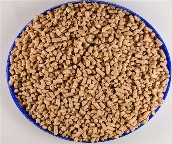 就要注意精饲料的占比了,给种猪一半的精饲料,一半的粗饲料,种猪就是