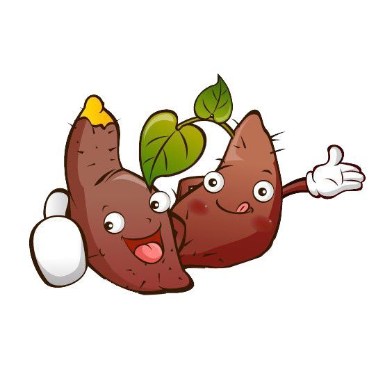 番薯很常见但你真的了解它吗