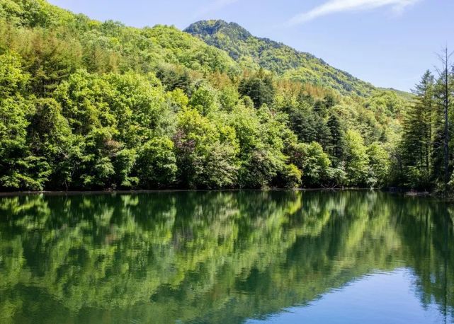 林木荫荫,小溪潺潺,白云山水景美水澈