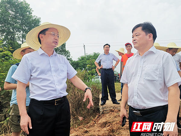 洪灾过后,衡阳市农业农村部门针对农作物受灾严重的状况,按照市委,市