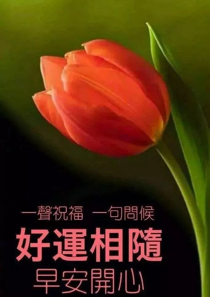 早上好问候语录秋天微信群发早安祝福图片正能量心语励志关心句子温馨